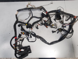Kabelboom Aprilia Tuono 1000