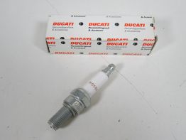 Bobine Ducati 749 999