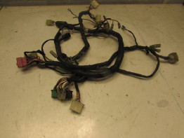 Wire Harness Kawasaki GTR 1000