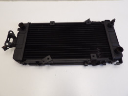 Kuhler Honda VT 1100