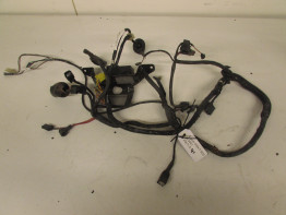 Kabelboom voor Suzuki GSX F 600