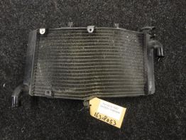 Kuhler Honda CBR 900 RR