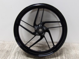 Voorvelg Ducati Monster 1200