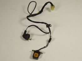 Pulsgever Kawasaki ZX 6 R