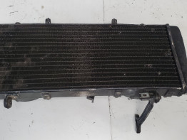 Kuhler Aprilia Tuono 1000