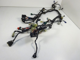 Wire Harness Yamaha FJR 1300