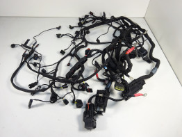 Kabelboom BMW R 1200 R