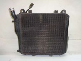 Kuhler Kawasaki GTR 1000