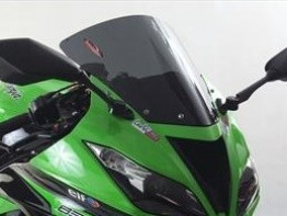 Kuipruit Kawasaki ZX 6 R