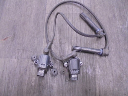 Bobine Ducati Multistrada 1260