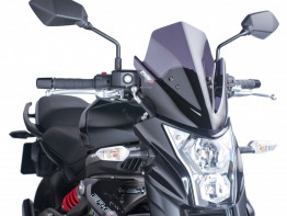 Wind screen Kawasaki ER 6