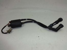 Bobine Yamaha FJ 1100