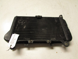 Radiator Kawasaki ZZR 600