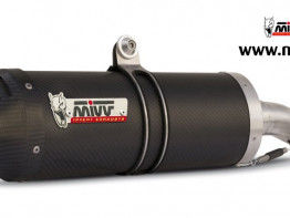 Muffler Triumph Tiger 800 xc