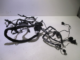 Kabelboom BMW R 1250 RS