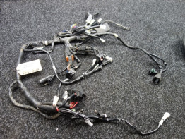 Kabelboom Yamaha Tracer 700