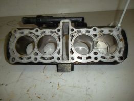 Motorblok diverse Yamaha FAZER 600