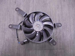 Ventilator Triumph Trident 660