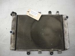 Radiateur Yamaha Grizzly Quad