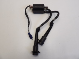 Bobine Yamaha FZR 400 R RR SP