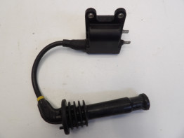 Bobine Triumph Thunderbird 900