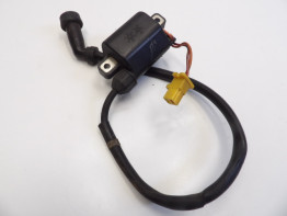 Bobine Yamaha XVZ 1200 Venture