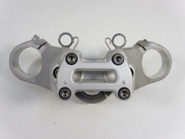 Kroonplaat Ducati monster 696