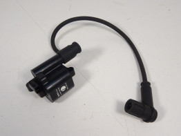 Bobine Ducati monster 696