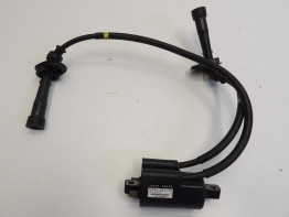 Bobine Suzuki GSF 600 650 Bandit 