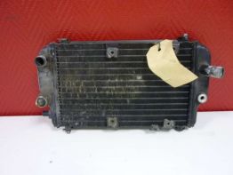 Radiateur Kawasaki EL 250