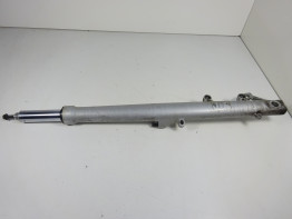 Voorpoot links compleet BMW R 1100 850 R