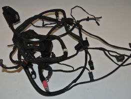 Kabelboom BMW F 700 GS