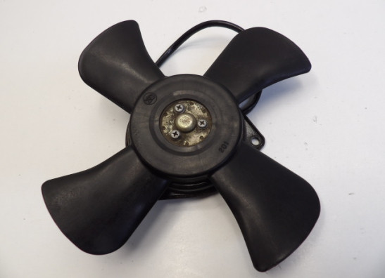 Fan Kawasaki ZX 9 R