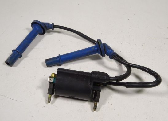 Ignition Coil Honda Overige Honda