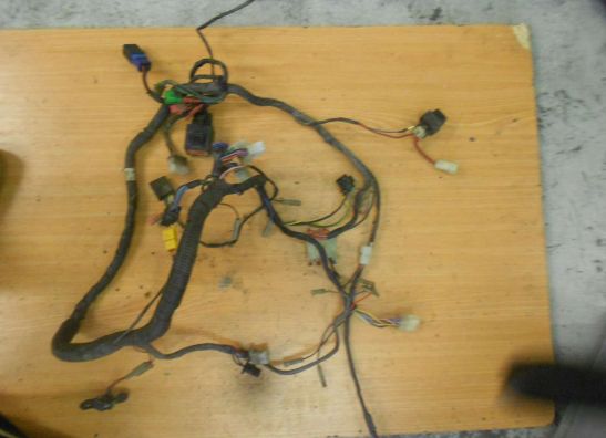 Wire Harness Yamaha FZ 750