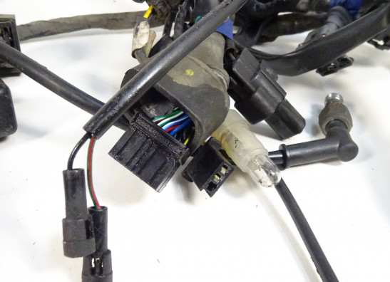 Kabelboom Triumph Tiger 1050