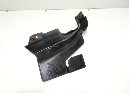 Other Triumph Tiger 900