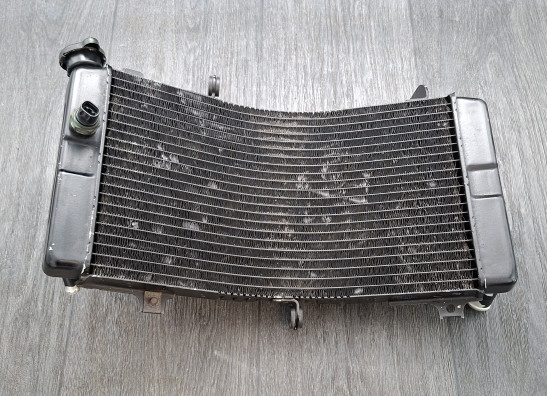 Radiator Suzuki GSX R 600