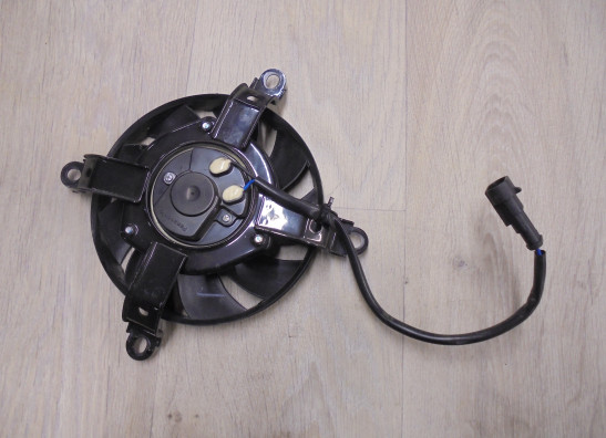 Fan Benelli TRK 502 X