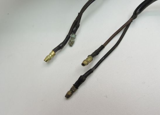 Blinker Yamaha TRX 850