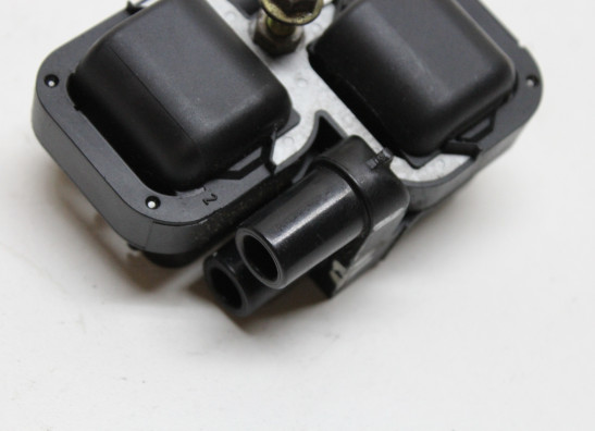 Bobine Can-am Spyder