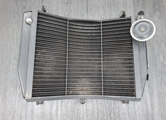 Radiateur Yamaha FJR 1300