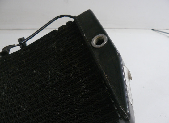 Radiateur Honda CBR Fireblade
