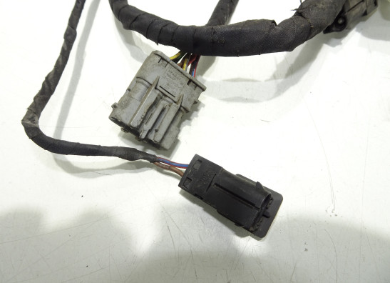 Kabelboom voor BMW F 650 GS