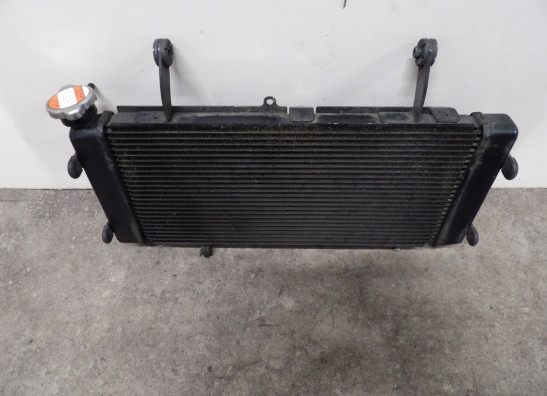 Radiateur Suzuki DL 1050 V Strom XT