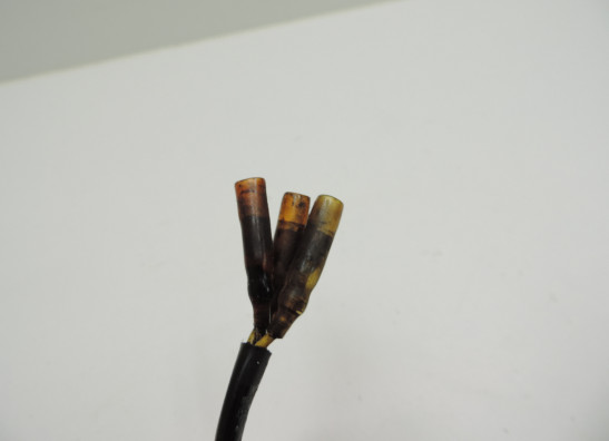 Dynamo Kawasaki Z 750