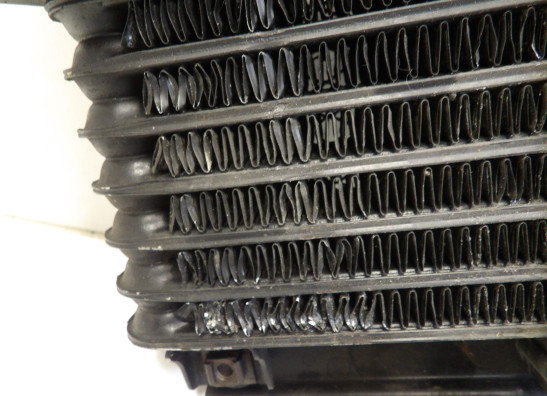 Olkuhler Kawasaki ZZR 600