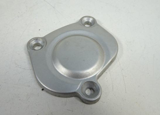 Motorblokdeksel Yamaha FZ1