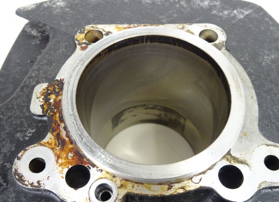 Cylinders Ducati monster 600