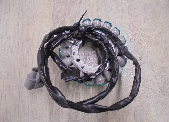 Dynamo BMW F 900 XR